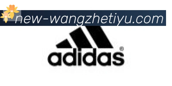 王者体育直播合作伙伴